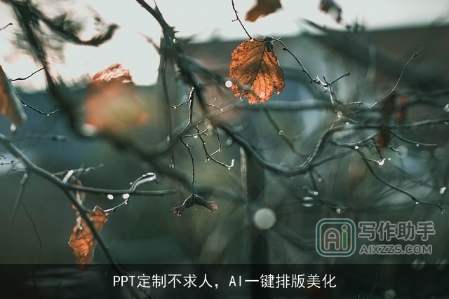 PPT定制不求人，AI一键排版美化