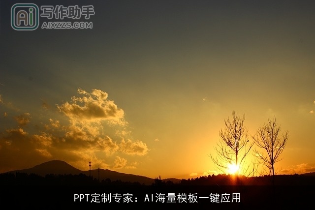 PPT定制专家：AI海量模板一键应用