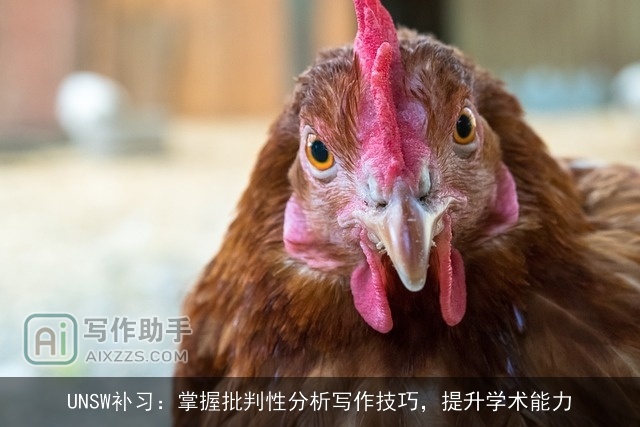 UNSW补习：掌握批判性分析写作技巧，提升学术能力