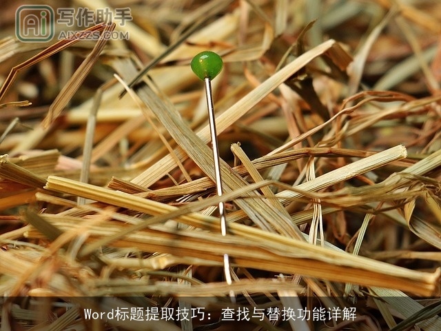 Word标题提取技巧：查找与替换功能详解