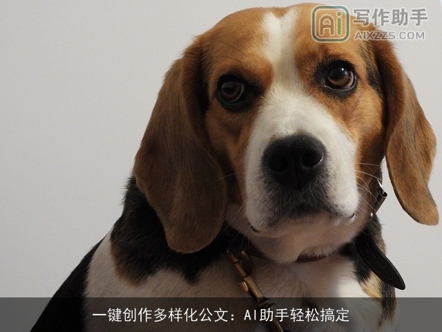 一键创作多样化公文：AI助手轻松搞定