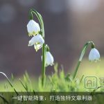 一键智能降重：打造独特文章利器