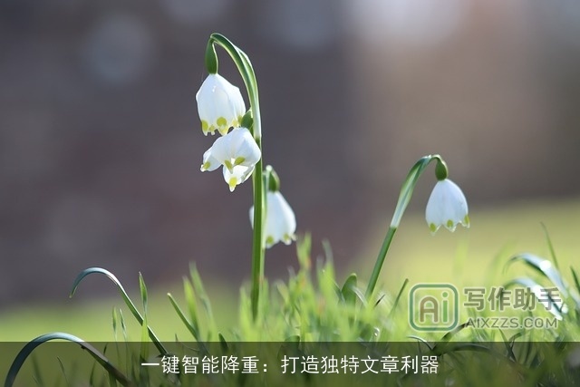 一键智能降重：打造独特文章利器