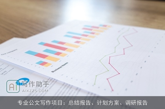 专业公文写作项目：总结报告、计划方案、调研报告