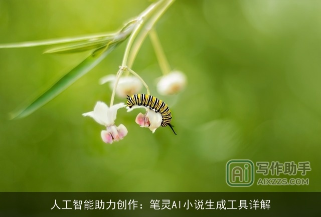 人工智能助力创作：笔灵AI小说生成工具详解