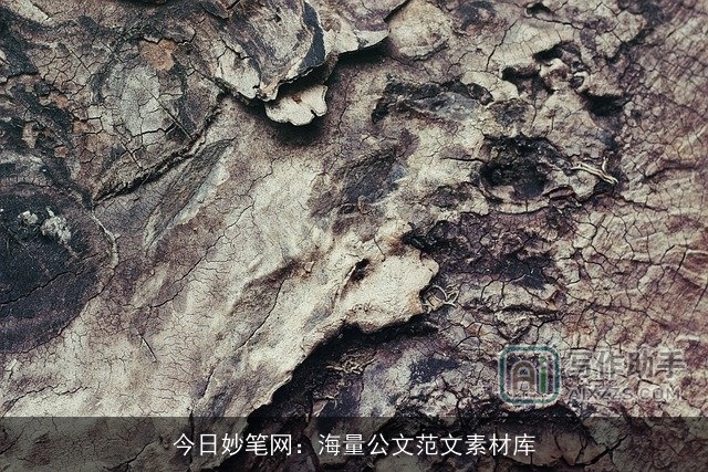 今日妙笔网：海量公文范文素材库