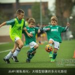 从API到私有化：大模型部署的多元化路径