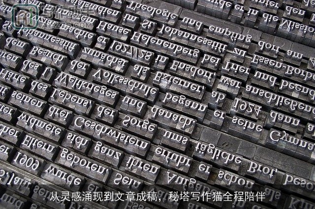 从灵感涌现到文章成稿，秘塔写作猫全程陪伴