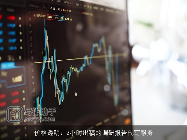 价格透明：2小时出稿的调研报告代写服务