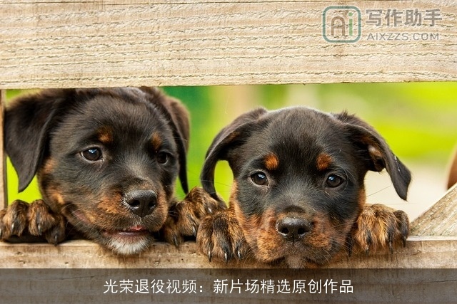 光荣××视频：新片场精选原创作品