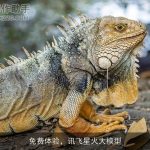 免费体验，讯飞星火大模型