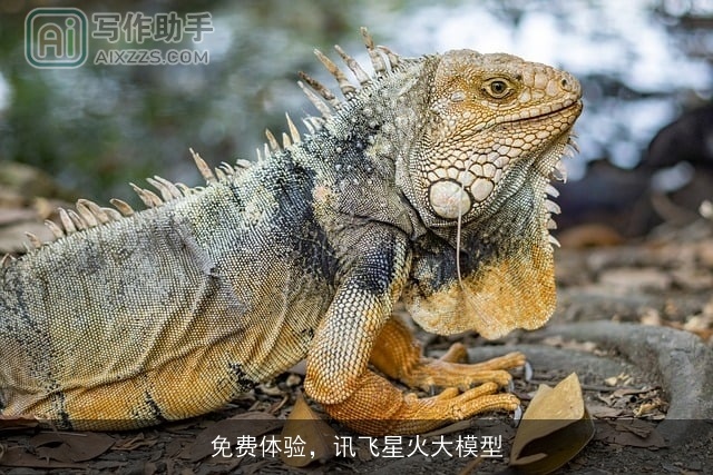 免费体验，讯飞星火大模型