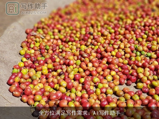 全方位满足写作需求：AI写作助手