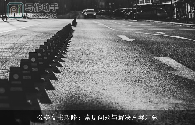 公务文书攻略：常见问题与解决方案汇总