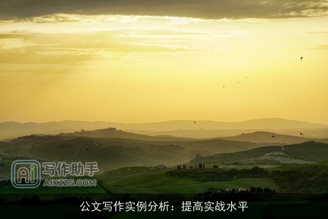 公文写作实例分析：提高实战水平