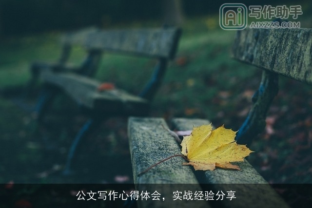 公文写作心得体会，实战经验分享