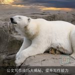 公文写作技巧大揭秘，提升写作能力