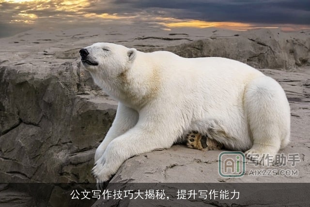 公文写作技巧大揭秘，提升写作能力