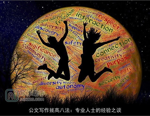 公文写作拔高八法：专业人士的经验之谈