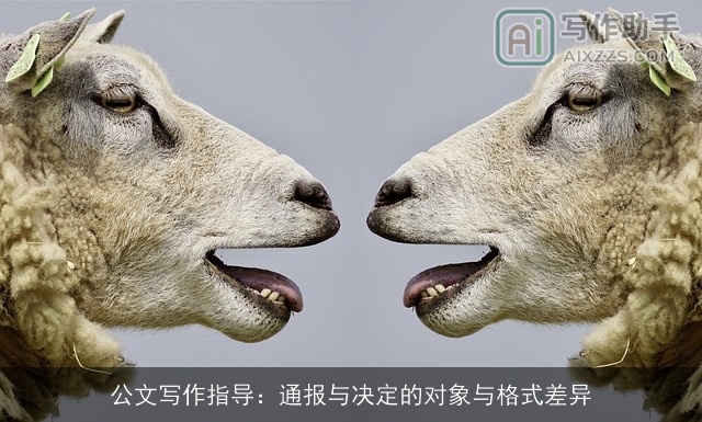 公文写作指导：通报与决定的对象与格式差异