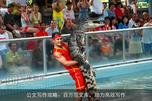 公文写作攻略：百万范文库，助力高效写作