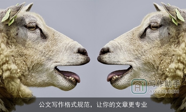 公文写作格式规范，让你的文章更专业