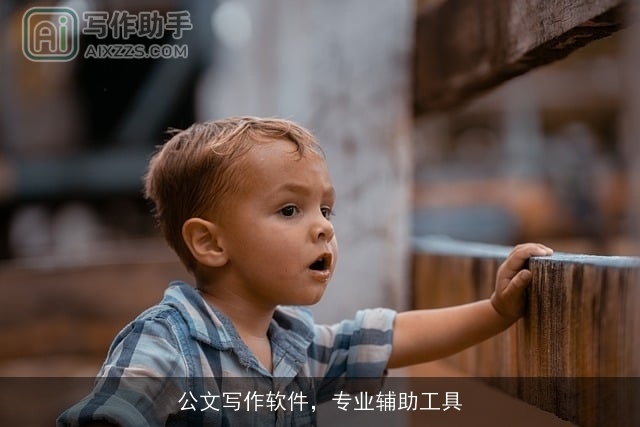 公文写作软件，专业辅助工具