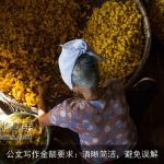 公文写作金额要求：清晰简洁，避免误解