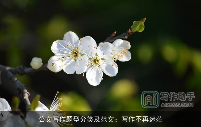 公文写作题型分类及范文：写作不再迷茫