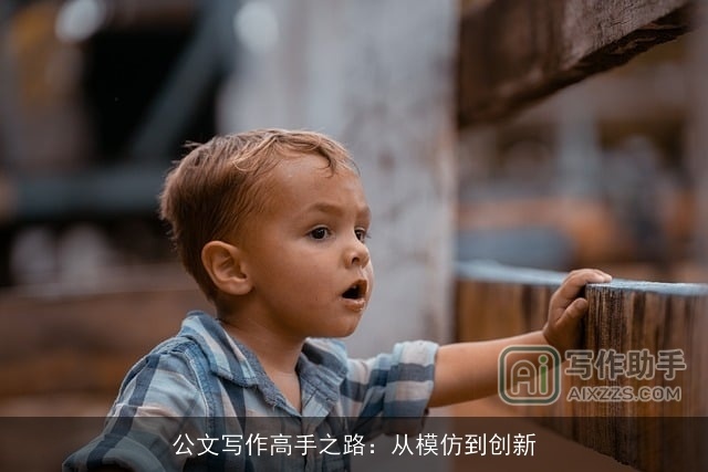 公文写作高手之路：从模仿到创新