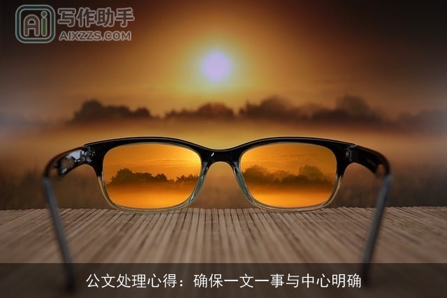 公文处理心得：确保一文一事与中心明确