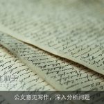 公文意见写作，深入分析问题