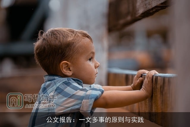 公文报告：一文多事的原则与实践