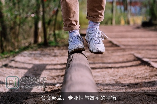 公文起草：专业性与效率的平衡