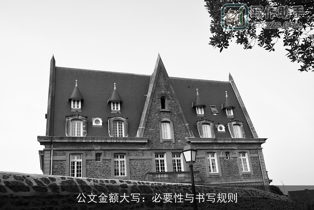 公文金额大写：必要性与书写规则