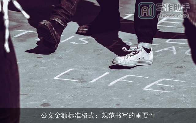 公文金额标准格式：规范书写的重要性