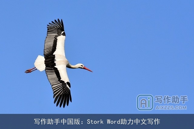 写作助手中国版：Stork Word助力中文写作