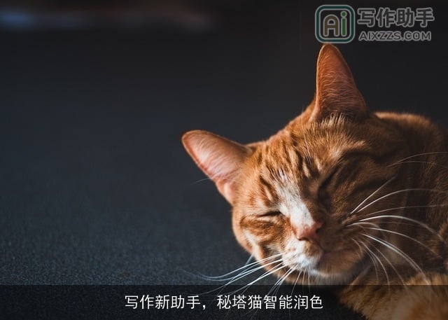 写作新助手，秘塔猫智能润色