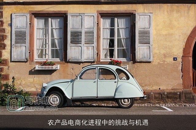农产品电商化进程中的挑战与机遇