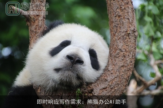 即时响应写作需求：熊猫办公AI助手