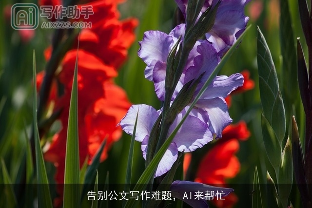告别公文写作难题，AI来帮忙