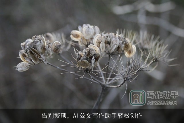 告别繁琐，AI公文写作助手轻松创作