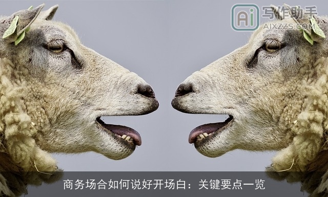 商务场合如何说好开场白：关键要点一览