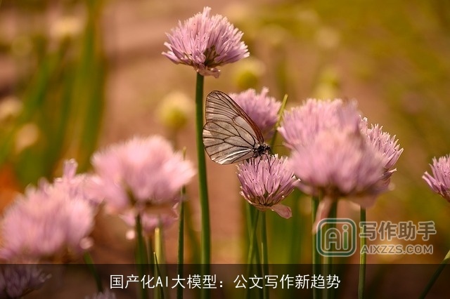 国产化AI大模型：公文写作新趋势