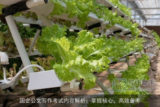 国企公文写作考试内容解析：掌握核心，高效备考