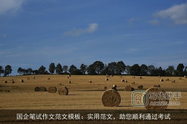 国企笔试作文范文模板：实用范文，助您顺利通过考试