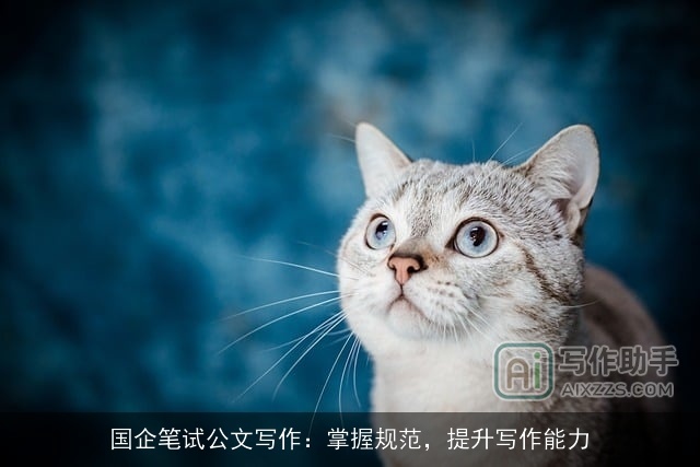 国企笔试公文写作：掌握规范，提升写作能力