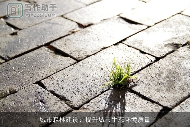 城市森林建设：提升城市生态环境质量