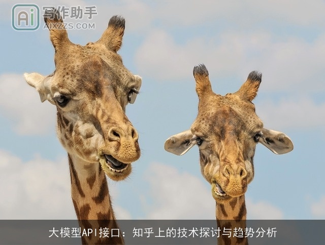 大模型API接口：知乎上的技术探讨与趋势分析