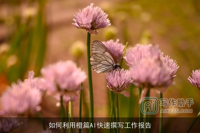 如何利用橙篇AI快速撰写工作报告
